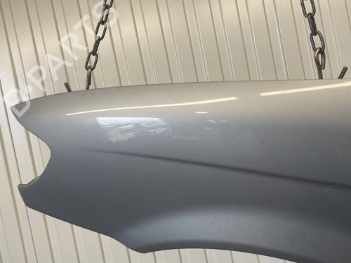Left front fenders HYUNDAI TRAJET (FO) 2.0 CRDi | BP26436147C41 