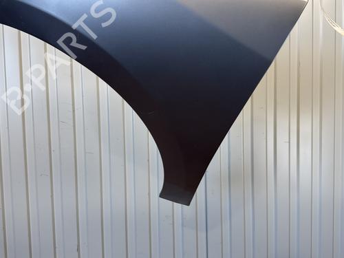 left-front-fenders-renault-megane-iii-hatchback-bz01_-b3_-2008-29204727 main image