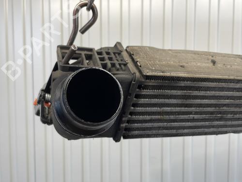 Used Intercooler Intercooler DACIA DUSTER (HS_) 1.5 dCi 4x4 (90 hp) 21667303 21667303