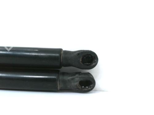 Tailgate lift support RENAULT CLIO V (B7_) 1.5 Blue dCi 100 (B7AD) | BP30795845C138