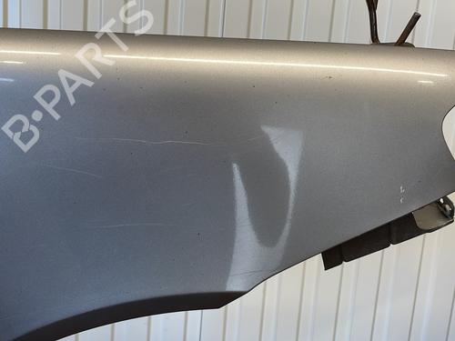 Right front fenders FIAT PUNTO (188_) 1.3 JTD 16V | BP21798177C42 