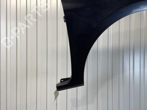 Right front fenders RENAULT CLIO III (BR0/1, CR0/1) 1.5 dCi (BR17, CR17) | BP27684666C42