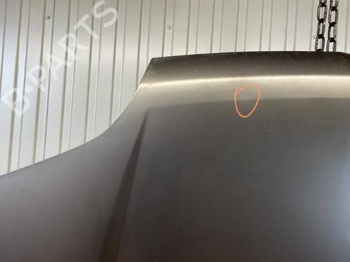 Hood NISSAN X-TRAIL I (T30) 2.2 dCi 4x4 | BP20910899C1 