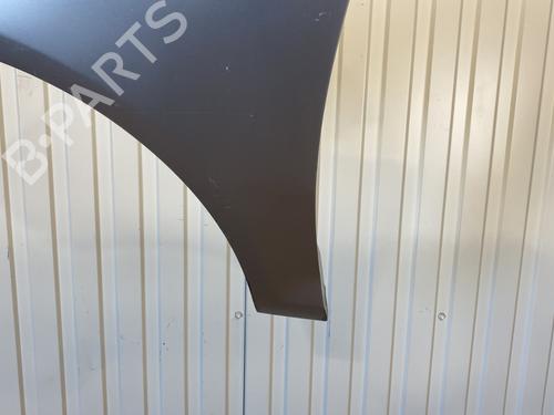 Left front fenders OPEL CORSA D (S07) 1.3 CDTI (L08, L68) | BP23795698C41 
