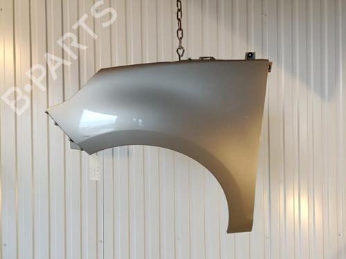 Left front fenders RENAULT SCÉNIC III (JZ0/1_) 1.5 dCi | BP20917140C41 