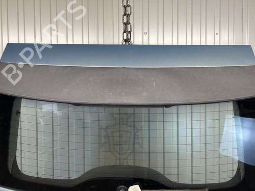 Tailgate FORD C-MAX (DM2) 1.8 TDCi | BP21811956C6 