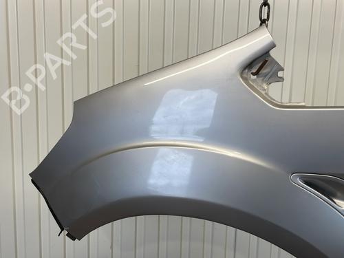 Left front fenders FORD S-MAX (WA6) 2.0 TDCi | BP25475519C41 