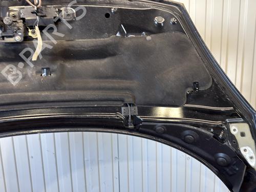 Hood RENAULT SCÉNIC III (JZ0/1_) 1.6 dCi (JZ00, JZ12) | BP29318429C1 