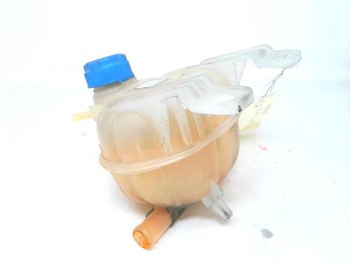 Used Expansion tank FIAT PUNTO (199_) 1.3 D Multijet (75 hp) 22101055