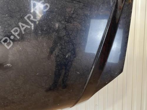 Used Hood KIA SORENTO I (JC) 2.5 CRDi (170 hp) 22101228