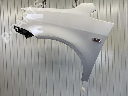 Used Left front fenders VW CADDY III Box Body/MPV (2KA, 2KH, 2CA, 2CH) 1.6 TDI (102 hp) 30099843