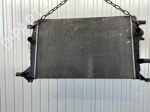 Used Water radiator RENAULT SCÉNIC III (JZ0/1_) 1.6 dCi (JZ00, JZ12) (130 hp) 29318491