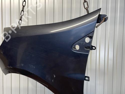 Left front fenders RENAULT CLIO III (BR0/1, CR0/1) 1.5 dCi (BR17, CR17) | BP28325802C41