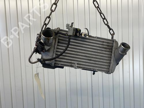 Used Intercooler HYUNDAI i20 II (GB, IB) 1.0 T-GDI (101 hp) 29614888