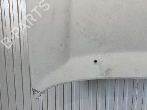 Hood LAND ROVER FREELANDER I (L314) 2.0 DI 4x4 | BP20915595C1 
