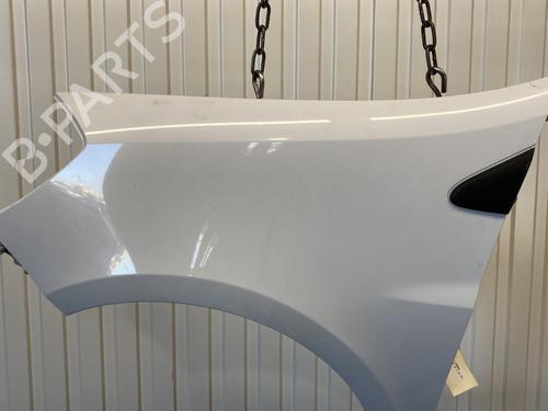 Left front fenders RENAULT CLIO III (BR0/1, CR0/1) 1.5 dCi (C/BR0G, C/BR1G) | BP22653633C41 