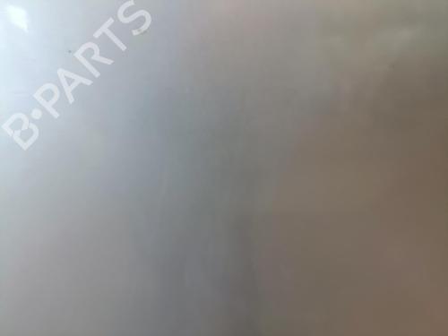 Used Hood FORD S-MAX (WA6) 2.0 TDCi (140 hp) 22100505