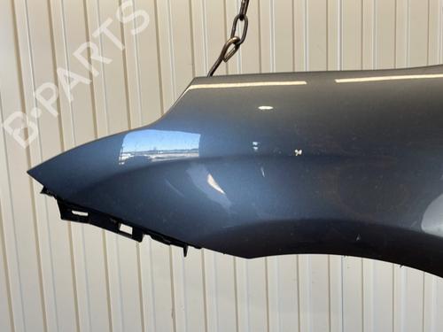 Left front fenders CITROËN C4 I (LC_) 1.6 HDi | BP26962418C41 