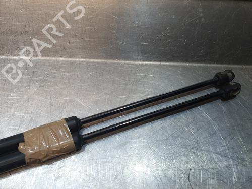 Tailgate lift support SKODA FABIA III (NJ3) 1.4 TDI | BP24111042C138 