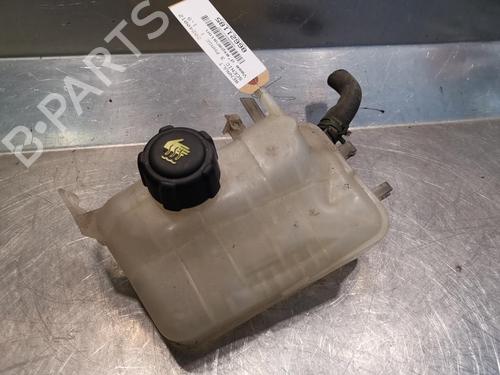 Expansion tank RENAULT SCÉNIC III (JZ0/1_) 1.5 dCi | BP20919661C120 