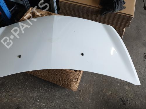 Used Hood RENAULT CLIO III (BR0/1, CR0/1) 1.5 dCi (75 hp) 26145327