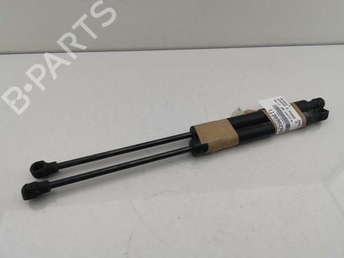 Used Hood lift support RENAULT KANGOO Express (FW0/1_) 1.5 dCi 90 (FW0G, FW05, FW08, FW11) (90 hp) 29414091