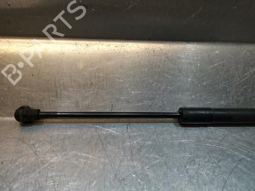 Hood lift support DACIA LODGY (JS_) 1.2 TCe (JSAY, JSM0) | BP21594104C139 