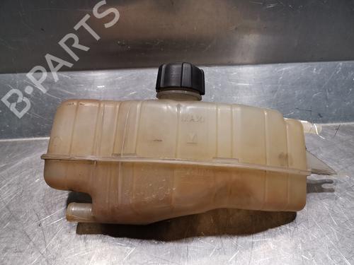 Used Expansion tank RENAULT CLIO III (BR0/1, CR0/1) 1.5 dCi (75 hp) 20917794