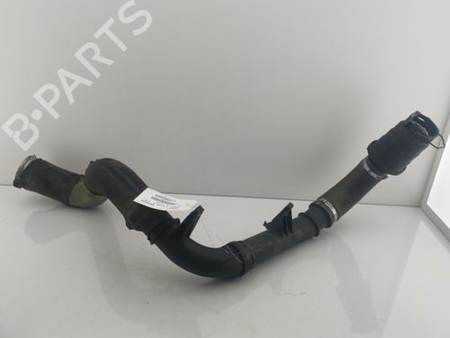 Used Pipe RENAULT SCÉNIC III (JZ0/1_) 1.6 dCi (JZ00, JZ12) (130 hp) 30145309