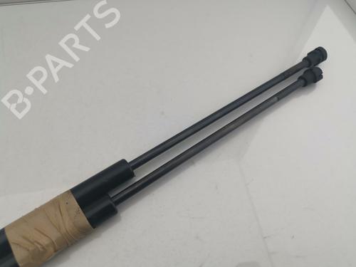 Tailgate lift support RENAULT SCÉNIC III (JZ0/1_) 1.6 dCi (JZ00, JZ12) | BP30128300C138