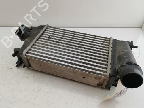 Used Intercooler NISSAN MICRA V (K14) 0.9 IG-T (90 hp) 32861029