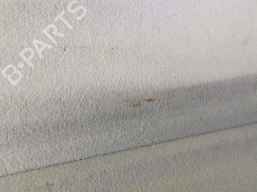 Rear parcel shelf RENAULT SCÉNIC III (JZ0/1_) 1.5 dCi | BP20919665C85 