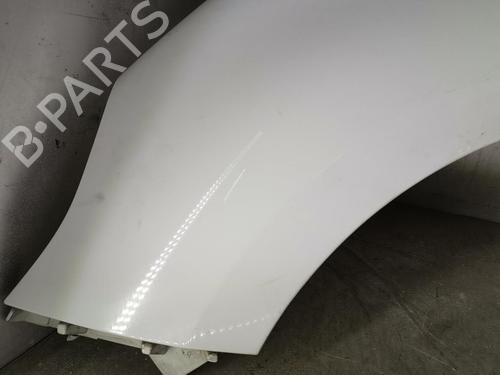 Left front fenders RENAULT SCÉNIC III (JZ0/1_) 1.5 dCi | BP20919674C41 