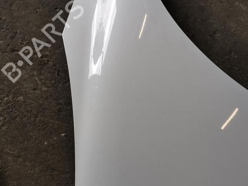 Hood RENAULT SCÉNIC III (JZ0/1_) 1.5 dCi | BP20919672C1