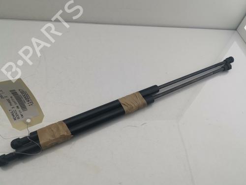 Used Tailgate lift support RENAULT SCÉNIC III (JZ0/1_) 1.6 dCi (JZ00, JZ12) (130 hp) 30128300