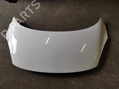 Hood RENAULT SCÉNIC III (JZ0/1_) 1.5 dCi | BP20919672C1