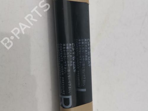 Tailgate lift support SUZUKI SX4 S-Cross (JY) 1.6 AllGrip (AKK 416) | BP29816394C138 