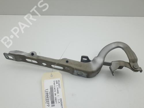 Hinge/Door check strap PEUGEOT 208 I (CA_, CC_) 1.4 HDi | BP27716256C146 