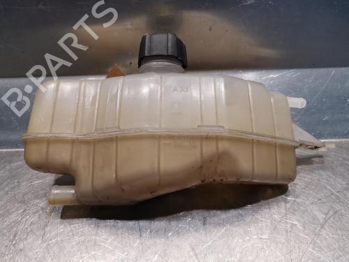 Used Expansion tank RENAULT CLIO III (BR0/1, CR0/1) 1.2 16V (BR02, BR0J, BR11, CR02, CR0J, CR11) (75 hp) 20921380