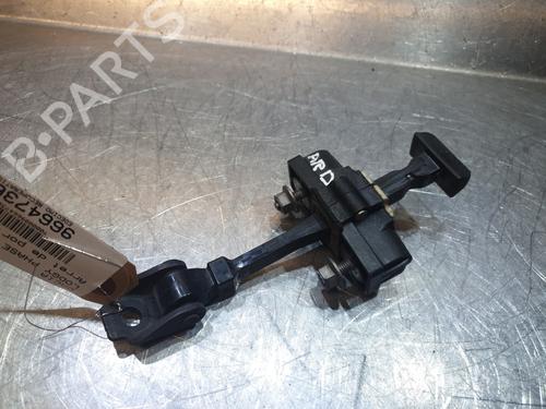 Hinge/Door check strap DACIA LODGY (JS_) 1.2 TCe (JSAY, JSM0) | BP21594123C146 