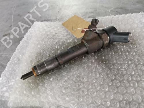 Used Injector RENAULT MEGANE II (BM0/1_, CM0/1_) 1.9 dCi (BM0G, CM0G) (120 hp) 20924686