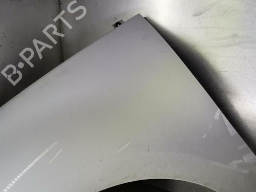 Left front fenders RENAULT SCÉNIC III (JZ0/1_) 1.5 dCi | BP20919674C41 
