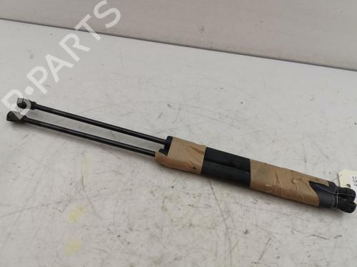 tailgate-lift-support-citroen-c3-ii-sc_-2009-33946322 main image