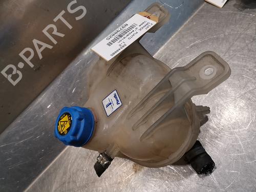 Used Expansion tank FIAT GRANDE PUNTO (199_) 1.3 D Multijet (199.AXD11, 199.AXD1A, 199.AXD1B,... (90 hp) 20917948