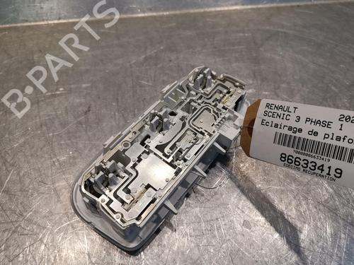 Interior roof light RENAULT SCÉNIC III (JZ0/1_) 1.5 dCi | BP20921023I8 