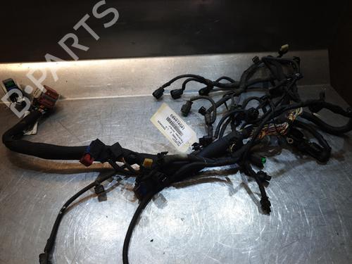 Used Wiring harness PEUGEOT 207 (WA_, WC_) 1.4 16V (98 hp) 25158011