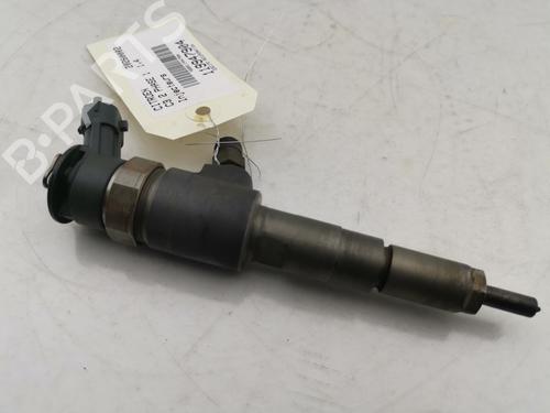 Injector CITROËN C3 II (SC_) 1.4 HDi 70 (SC8HZC, SC8HR0, SC8HP4) (68 hp) 31919013