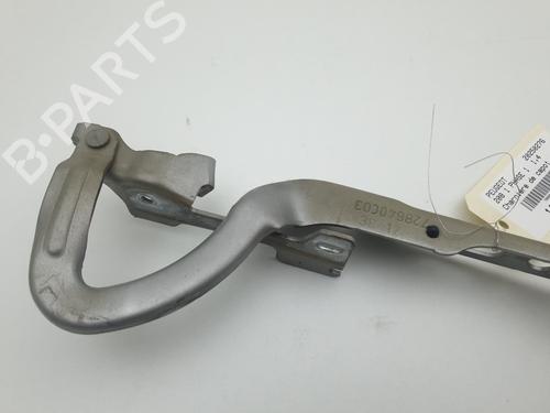 Hinge/Door check strap PEUGEOT 208 I (CA_, CC_) 1.4 HDi | BP27716256C146 