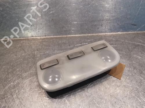 Used Interior roof light RENAULT SCÉNIC III (JZ0/1_) 1.5 dCi (106 hp) 20921024