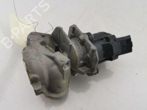 Egr PEUGEOT BIPPER (AA_) 1.4 HDi | BP31357559M69
